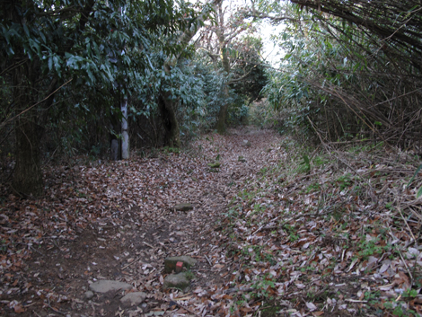 20131223hike (106)